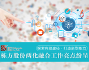 探索有效途徑，打造新型能力——棟方股份兩化融合工作亮點(diǎn)紛呈