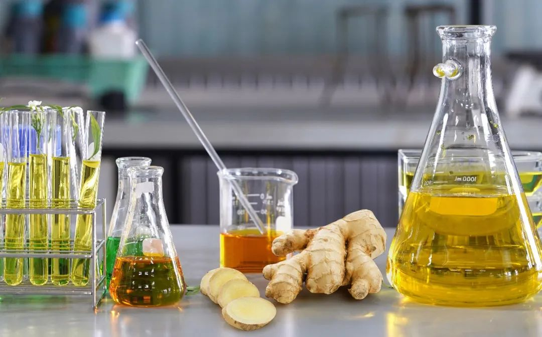 棟方股份榮獲2021年廣東省科技進(jìn)步獎(jiǎng)，科研創(chuàng)新實(shí)力再獲認(rèn)可！